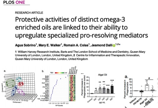 16 science omega3